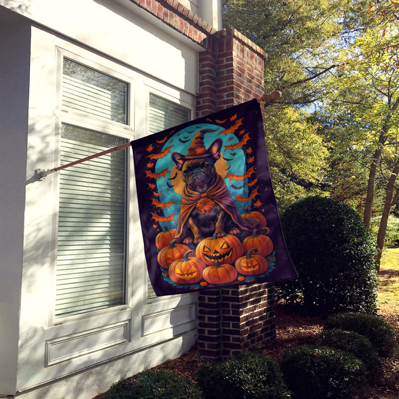 Jahzi Double Sided Polyester Halloween Garden Flag, 40" x 28"