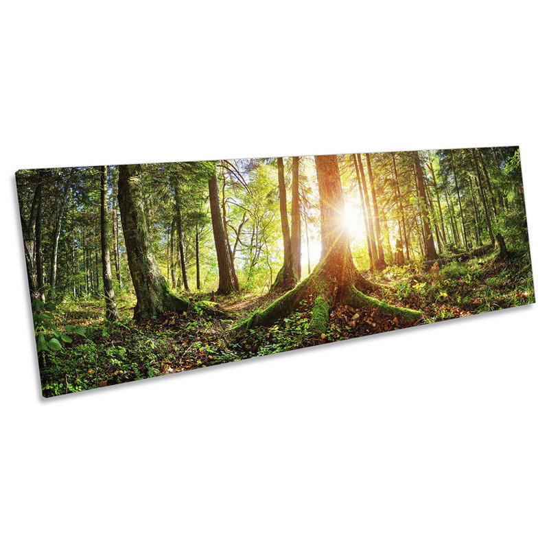 Forest Sunset - Wrapped Canvas Panoramic Print, 30.48cm H x 91.44cm W x 2cm D
