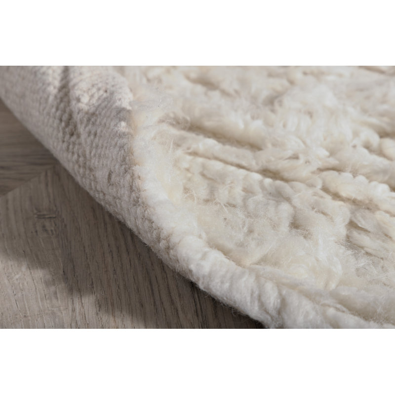 Alyvia Hand Woven Area Rug, Rectangle 200 x 300cm