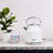 HADEN Heritage 1.7L Stainless Steel Tea Kettle-49998383