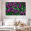 Tulipes violettes Alvord-108736528