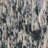 Boutique Polyester Fabric