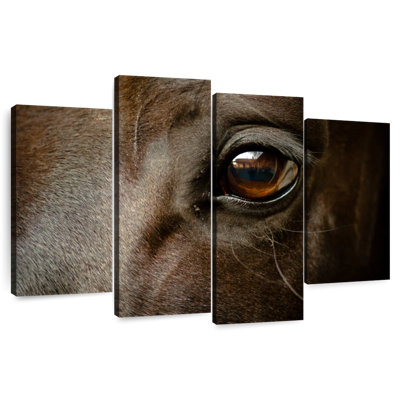 Brampt œil de cheval noir