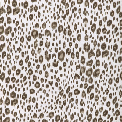 Leopardos