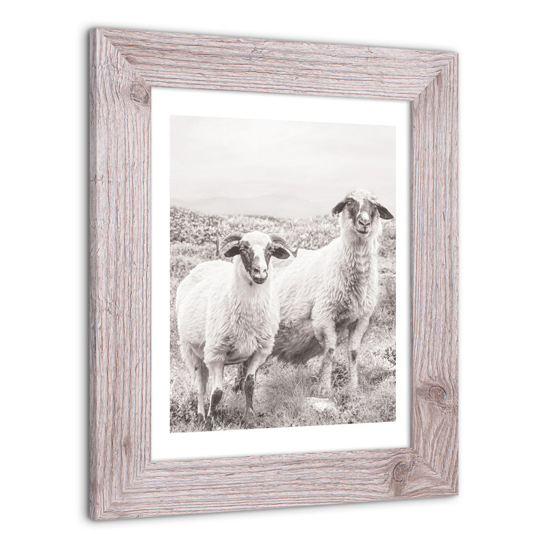 Sheep On Hill, reproduction encadrée, H 14 po x l 11 po x P 0,75 po, Blanc