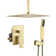 All-In-One Kit with Rough in-Valve