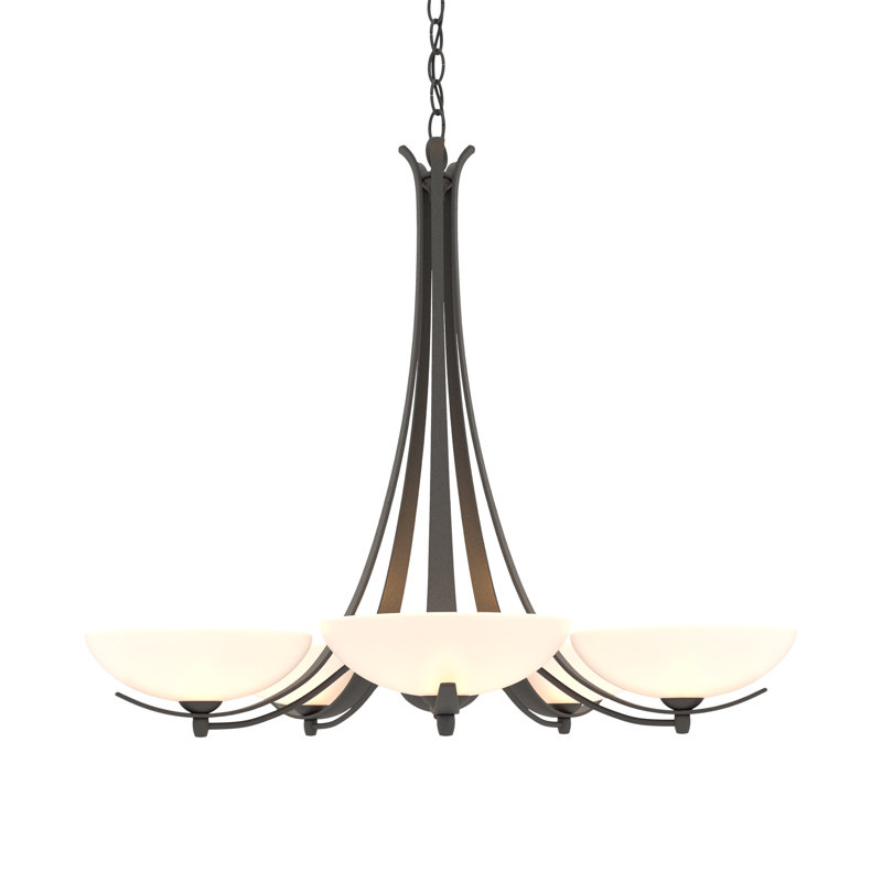 Aegis 5 - Light Shaded Classic/Traditional Chandelier, Natural lron
