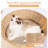 Alena 51.6'' H Cat Tree