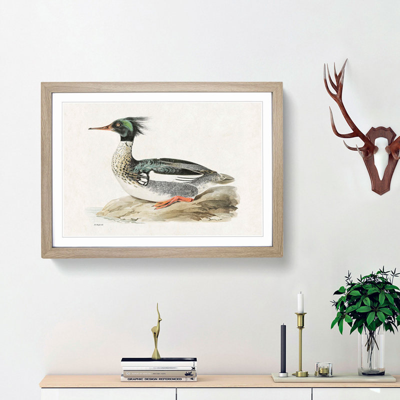 Merganser Diving Duck by Von Wright - Picture Frame Painting Print on MDF, Oak Framed, 36cm H x 48cm W x 2cm D
