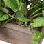 Artificial Plant in Planter