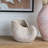 11.5X6.7X7.7" Sand And Cement Nautilus Shell Planter With Textured Beige Finish