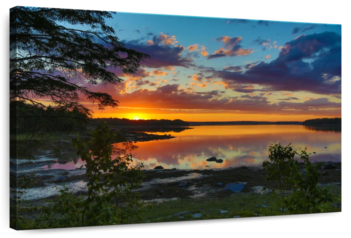Millwood Pines Alvord Bar Harbor Golden Sunset | Wayfair