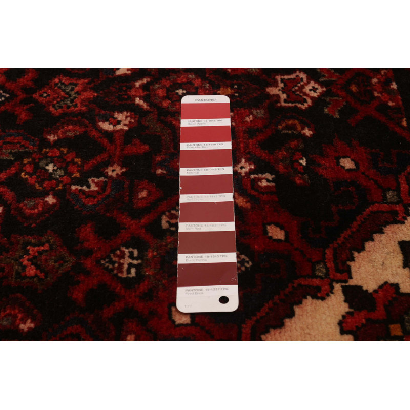 Tapis rouge Andelz 3 pi 9 po x 14 pi 6 po