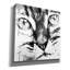 «Epic Graffiti» «Cat Face» par Pechane, art mural sur toile, 37 po x 37 po-101656472