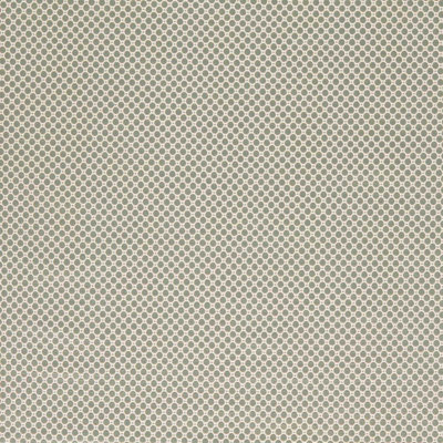 Domino Spot Fabric