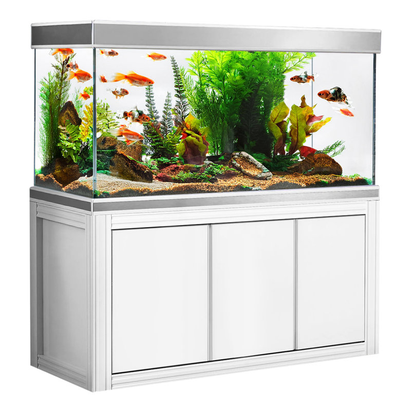 Réservoir d'aquarium 50 gallons, Chêne blanc, 175 gallons (H 61 po x l 59 po x P 19,7 po)