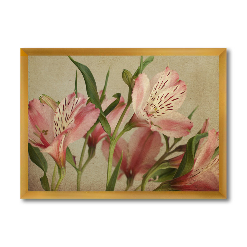 «Retro Alstroemeria Flower», impression sur toile, Toile encadrée d'or, H 24 po x l 32 po x 1,5 po