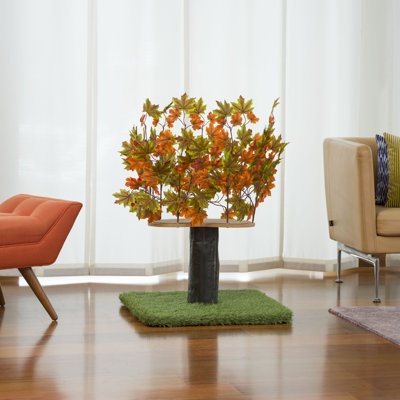 Henrietta 36'' H Cat Tree