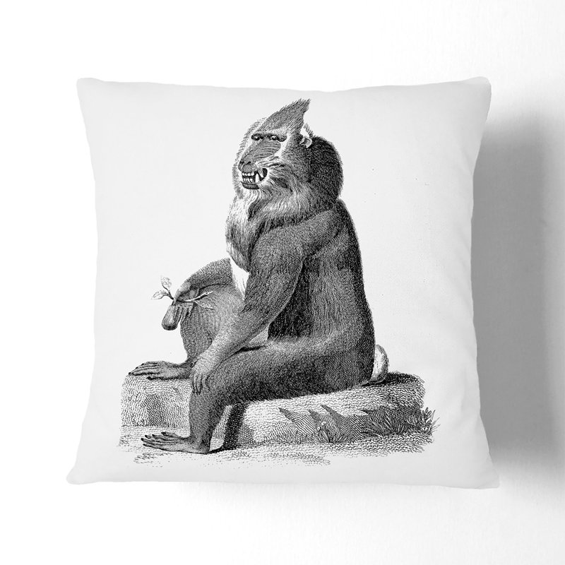 Square Cushion, Stone, 55 x 55 cm