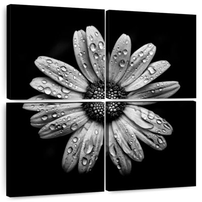 Harnek Backyard Flowers BW I
