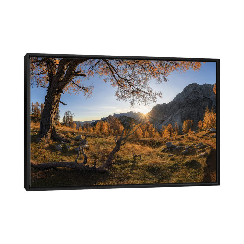 Autumn Paradise by Ales Krivec - Print on Canvas