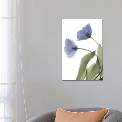 X-Ray Tulip III by Judy Stalus - Wrapped Canvas Print
