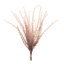 Grass Plume Bundle (Set of 6)
