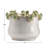 Decorative Stoneware Planter with Frog Figurine Rim