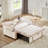 Velvet Pull-out Sleeper Sofa Bed, Adjustable Back and with USB Pport, swivel phone stand-938975602-912425515