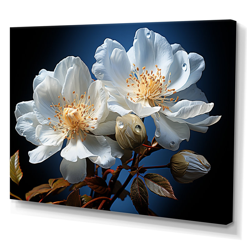 Fleurs transparentes blanches et bleues - impressions murales fleurs, H 12 po x l 20 po x P 1 po, Toile tendue