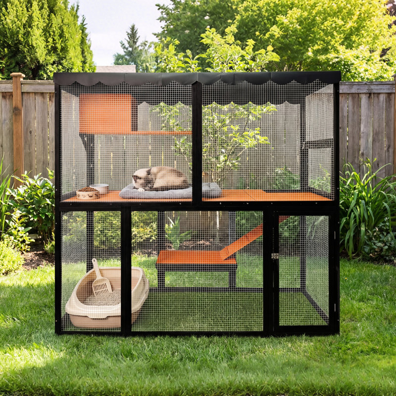 Maison d'extérieur pour chat avec configuration à 4 niveaux, bois massif et filet imperméable pour que plusieurs chats puissent y passer la nuit