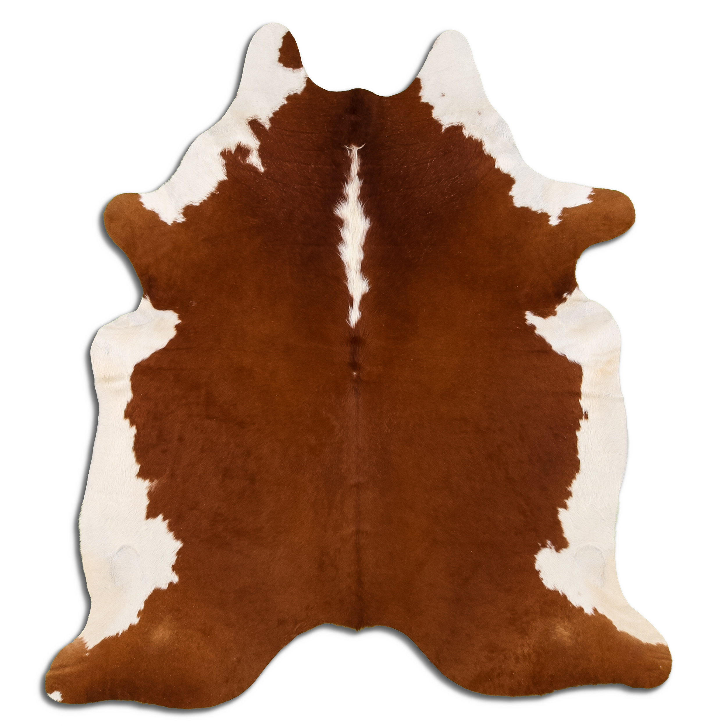 Union Rustic Dupree Handmade Leather Light Brown Area Rug - Wayfair Canada