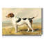 Reproduction d’art sur toile « Fox Hound »-773607649