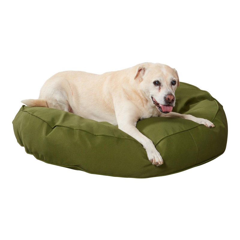Lit-coussin pour chien Gordie, Grand (l 36 po x P 36 po x H 6 po), Vert