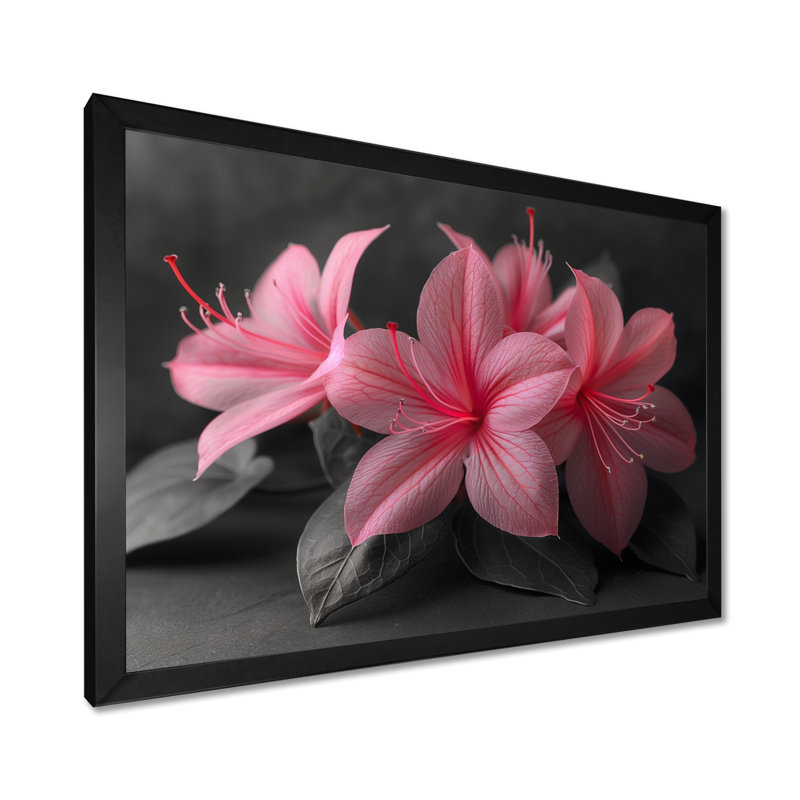 Décoration murale rose et gris fuchsia - Fuschia, H 30 po x l 40 po, Cadre pour photo simple noir, bois massif