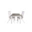 Jayesh 4 - Person Patio Dining Set with Extendable Rectangular Table-1377582546-1377582547