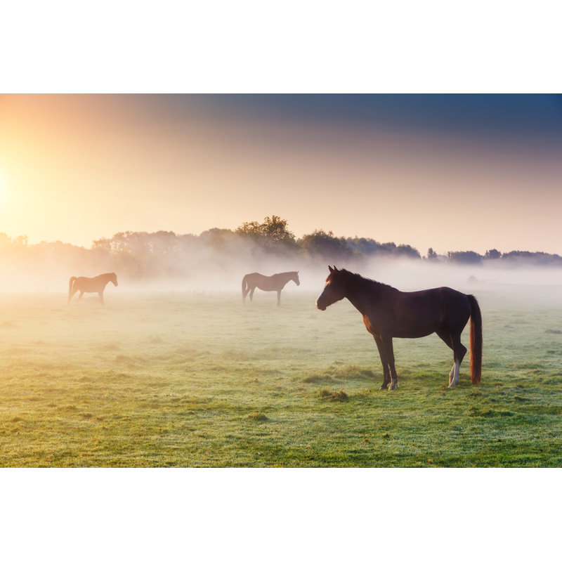 Charlo Arabian Horses Grazing - Wrapped Canvas Print, 30cm H x 46cm W x 3.8cm D