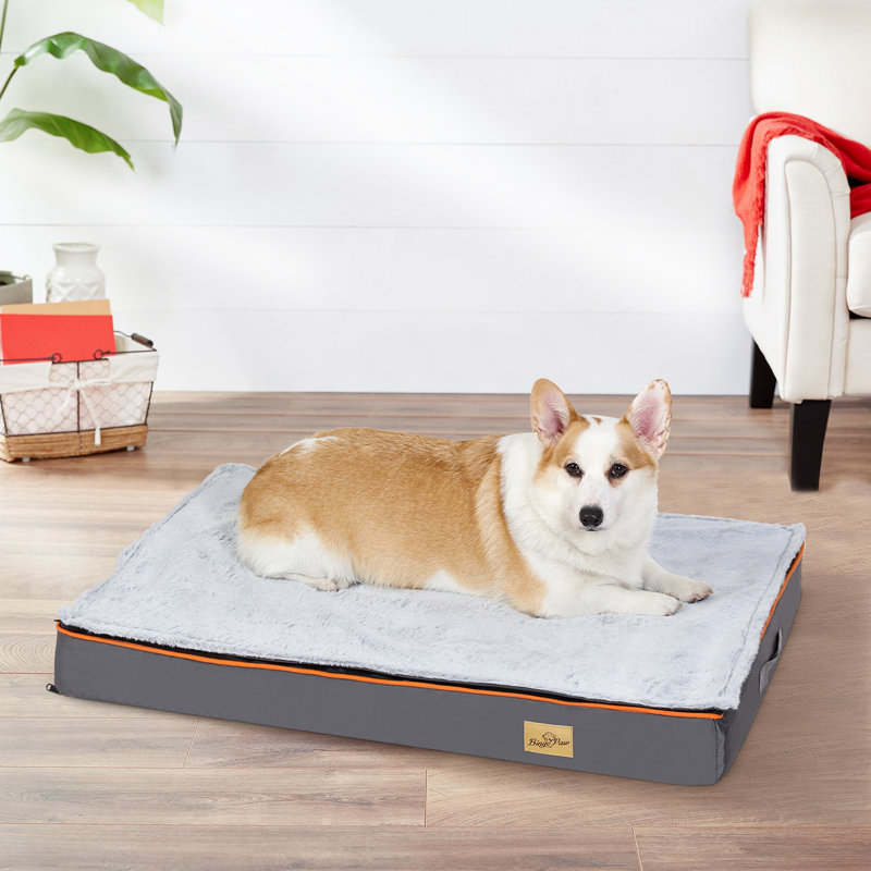 Lit pour chien Pillow, H 3,1 po x l 37,4 po x P 27,5 po