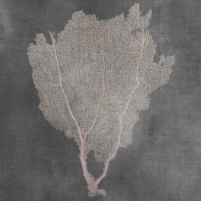 Éventail naturel I