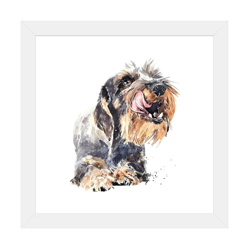 «Wirehaired Dachshund I» par EdsWatercolours - impression, H 24 po x l 24 po x p 1 po, Papier encadré blanc, Blanc