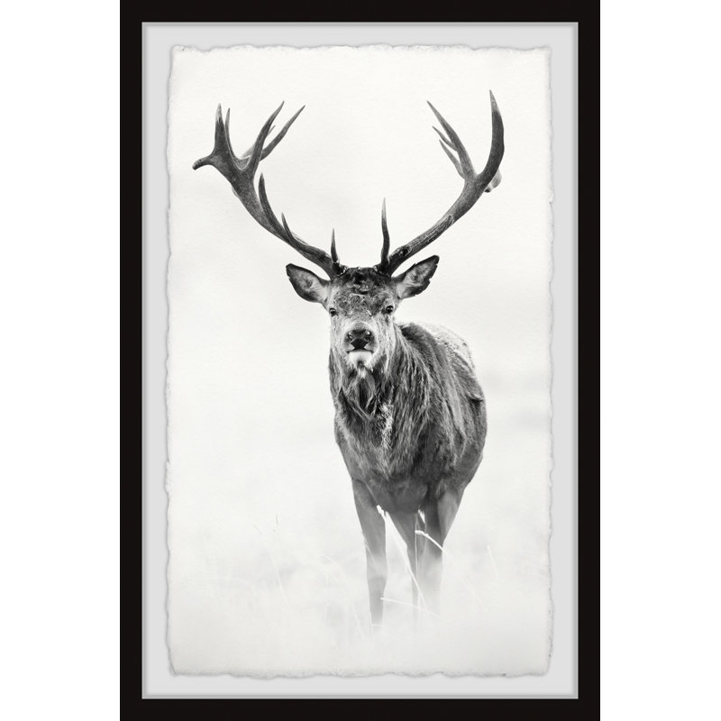 «Elk Stare II», reproduction encadrée, H 36 po x l 24 po x P 1,5 po