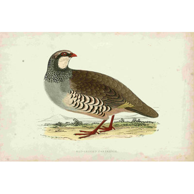Morris Pheasants II
