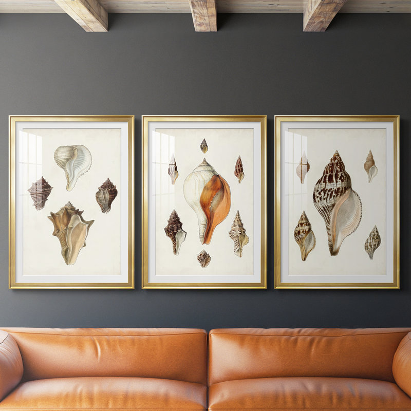 Sowerby Shells VI - reproduction sur mesure encadrée de qualité supérieure - 3 pièces, H 27 po x l 39 po, Doré