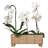 Provence Rattan Rectangular Planter - Whitewash