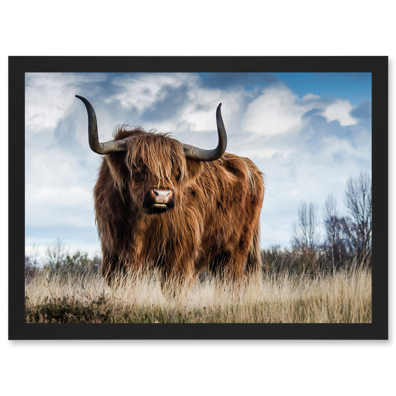 Scottish Highland Cow Hairy Coo - Single Picture Frame Print