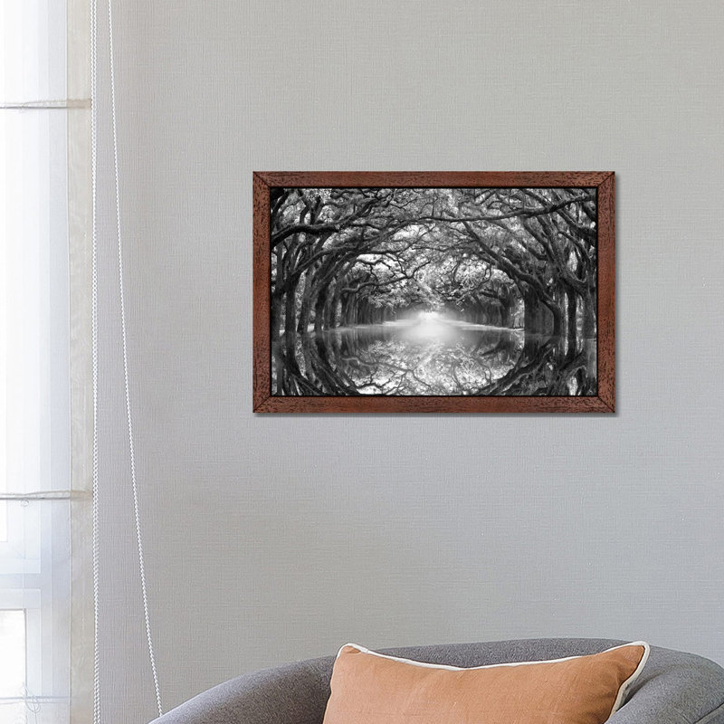 Oak Alley Reflection - Print on Canvas, Brown Floater Framed, 66.04 cm H x 45.72 cm W