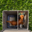 Niche pour chien Deluxe