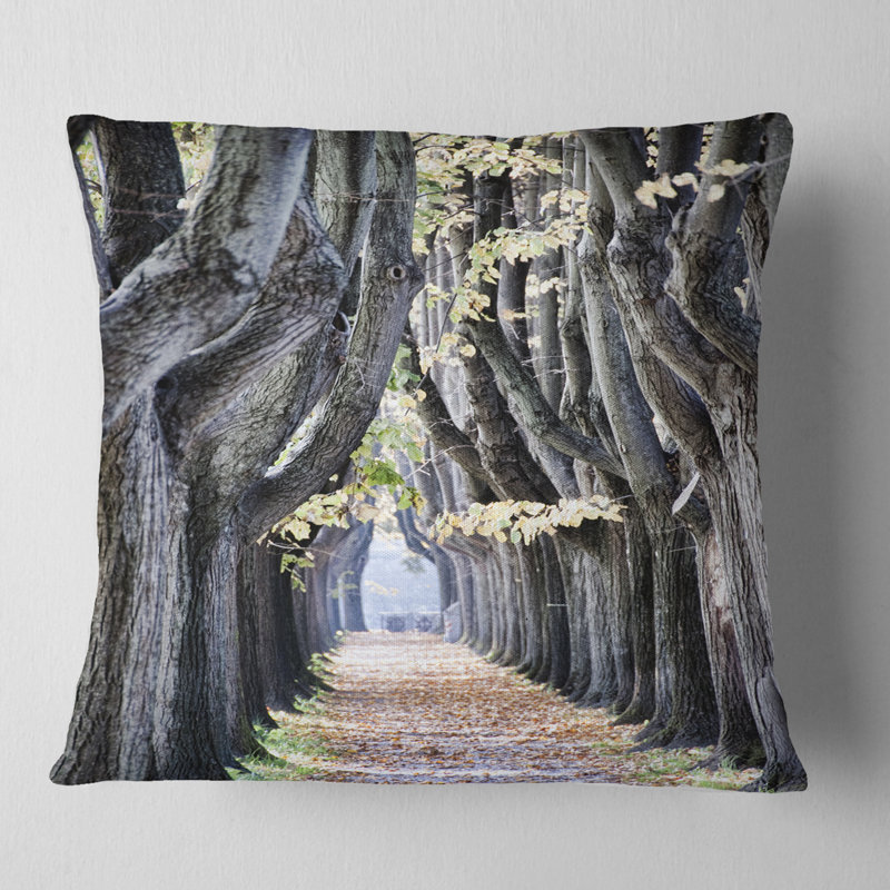 Coussin Schafer, 16 po x 1 po, Type de produit