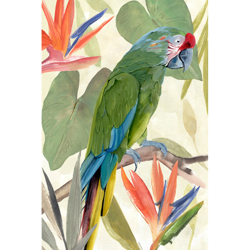 Composition de perroquet tropical I, Non, H 18 po x l 12 po, Imprimé à cadre doré
