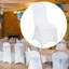 Polyester Chair Cover